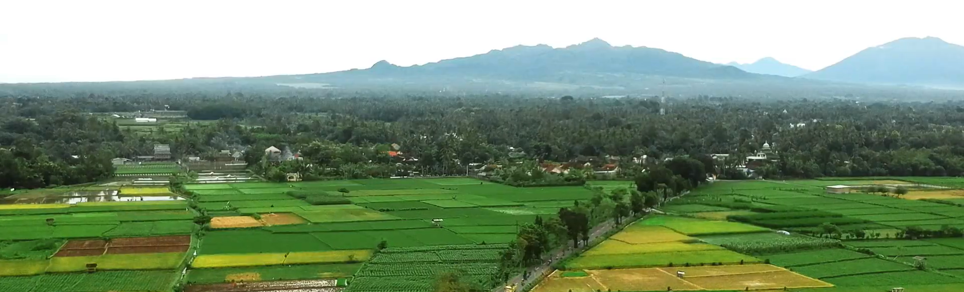 Peta Desa Jiwut